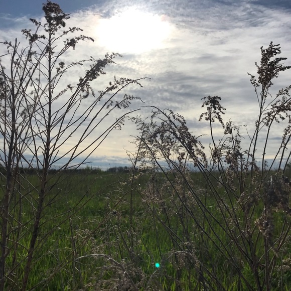 Meet your Posher, Vivian - Picture 1 of 1